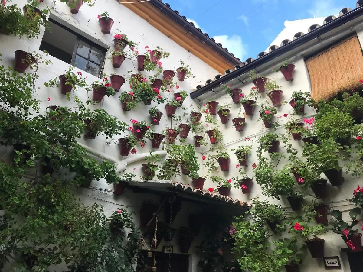 Apartamento Aroma De Azahar, En San Basilio Córdoba 0*,